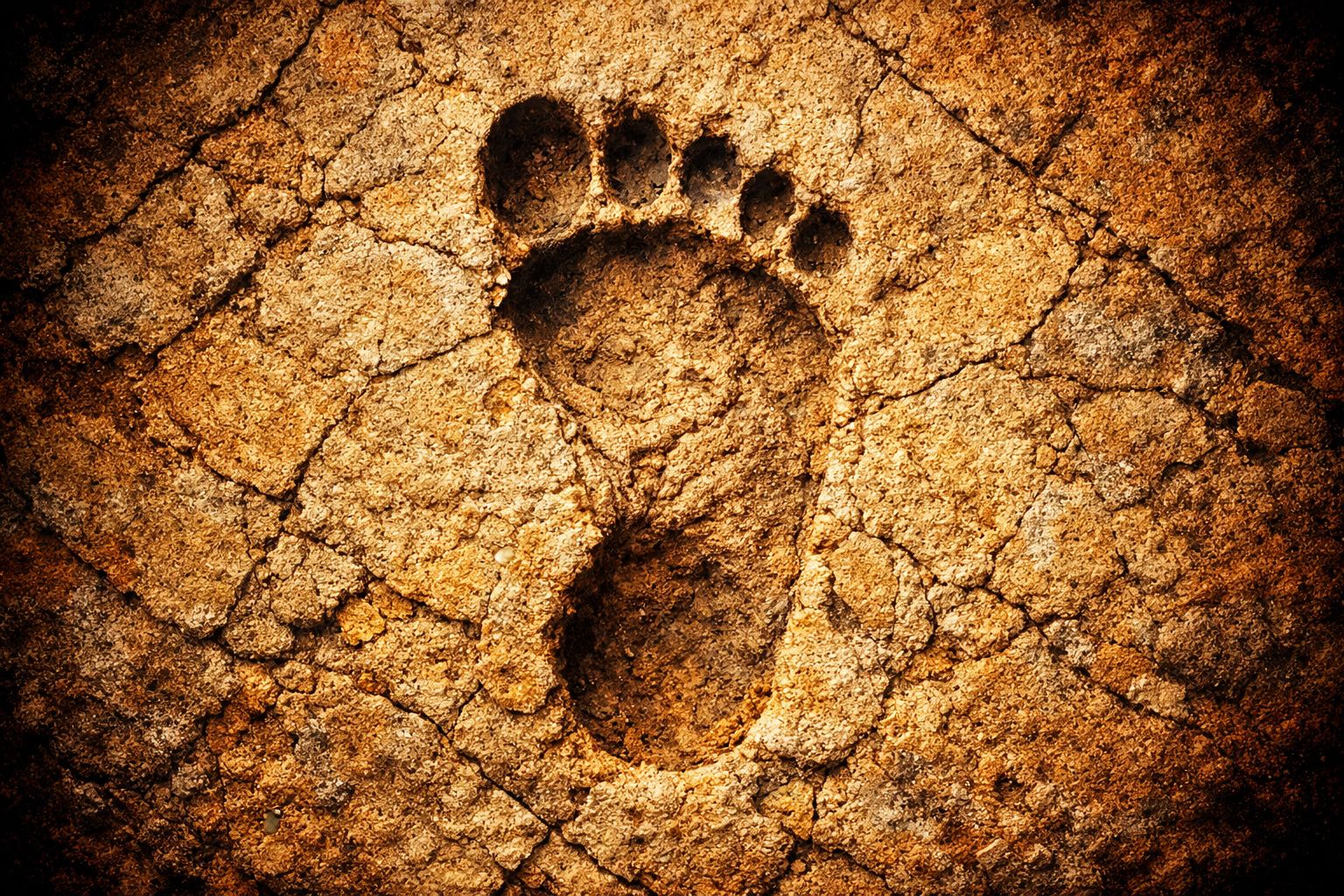 Une découverte de 23 000 ans réécrit l'histoire humaine en Amérique