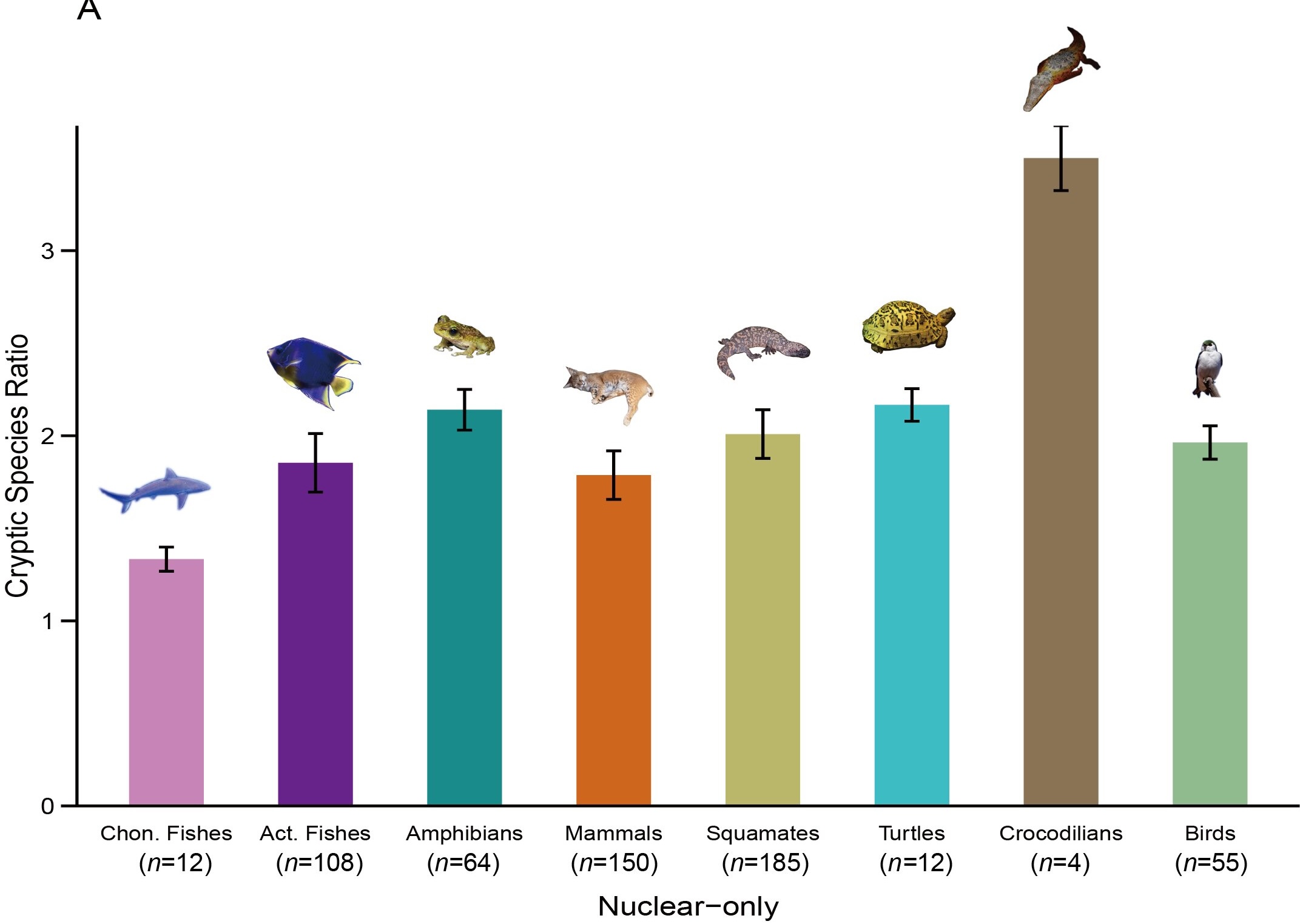 Cachées à la vue de tous : la découverte d’espèces cryptiques pourrait doubler le nombre de vertébrés