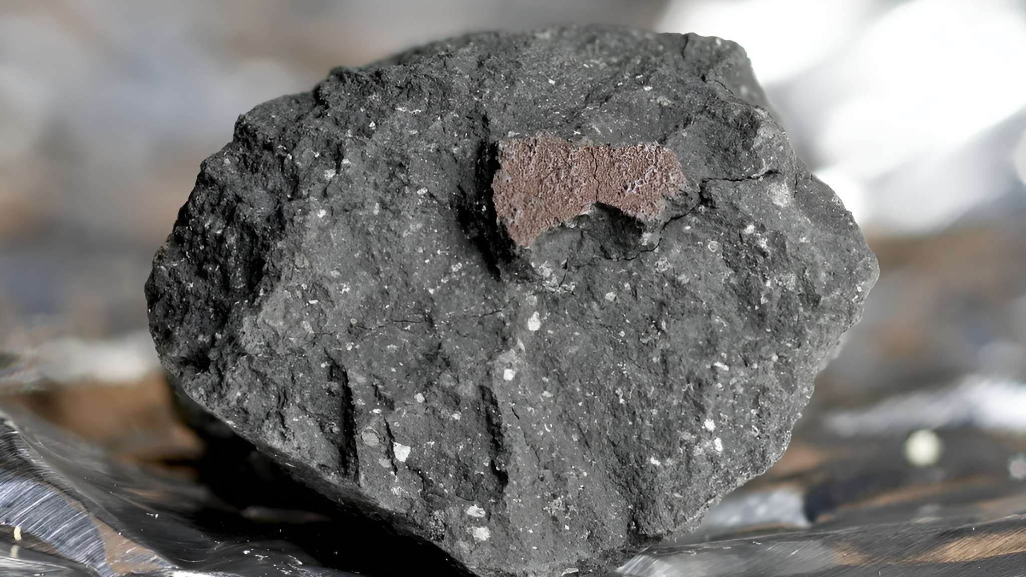 La roche spatiale tombée dans une allée qui est devenue une fenêtre sur les débuts du Système solaire