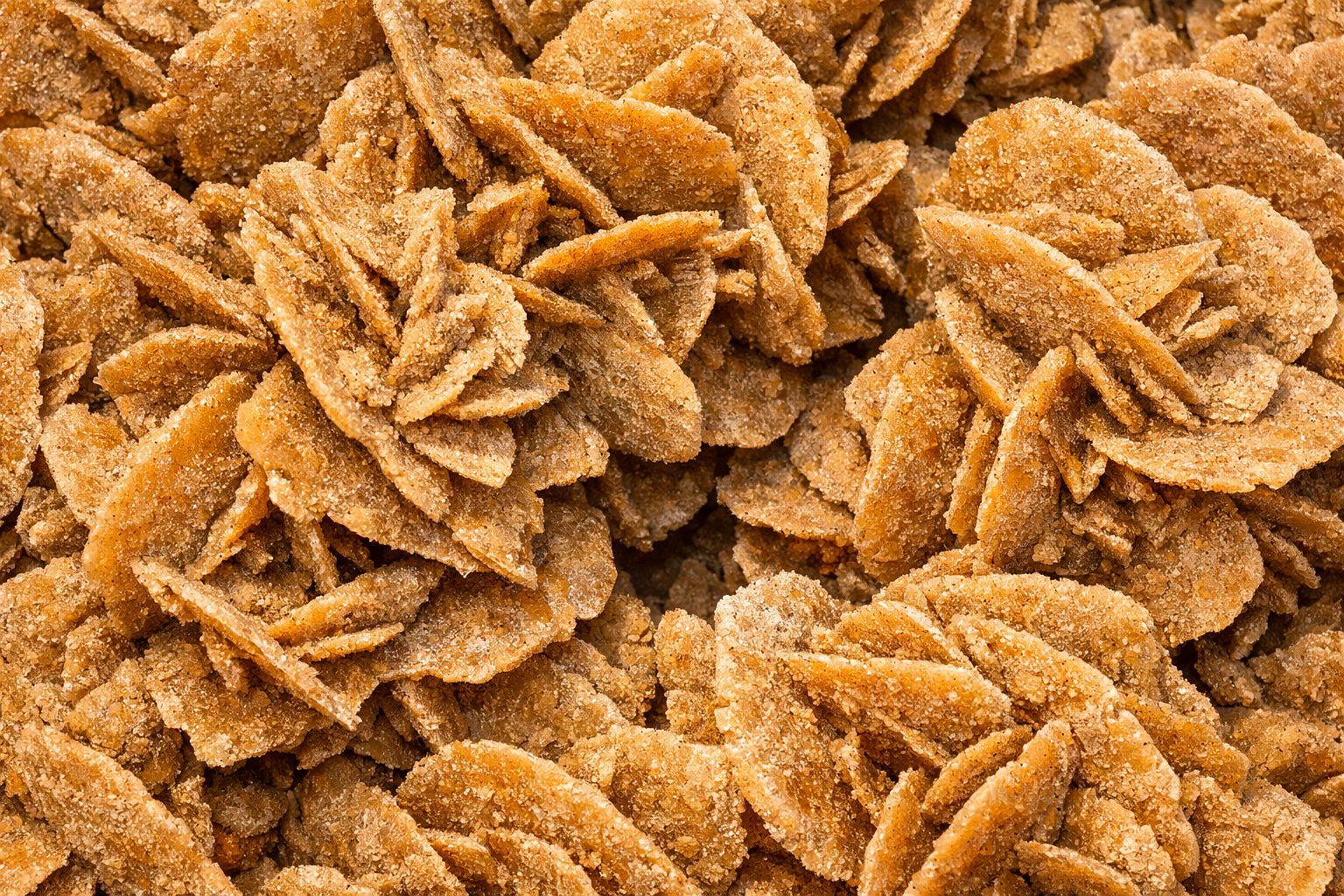 Ce cristal du désert maintient les organismes en vie pendant des éons. Il pourrait être la clé pour découvrir la vie extraterrestre