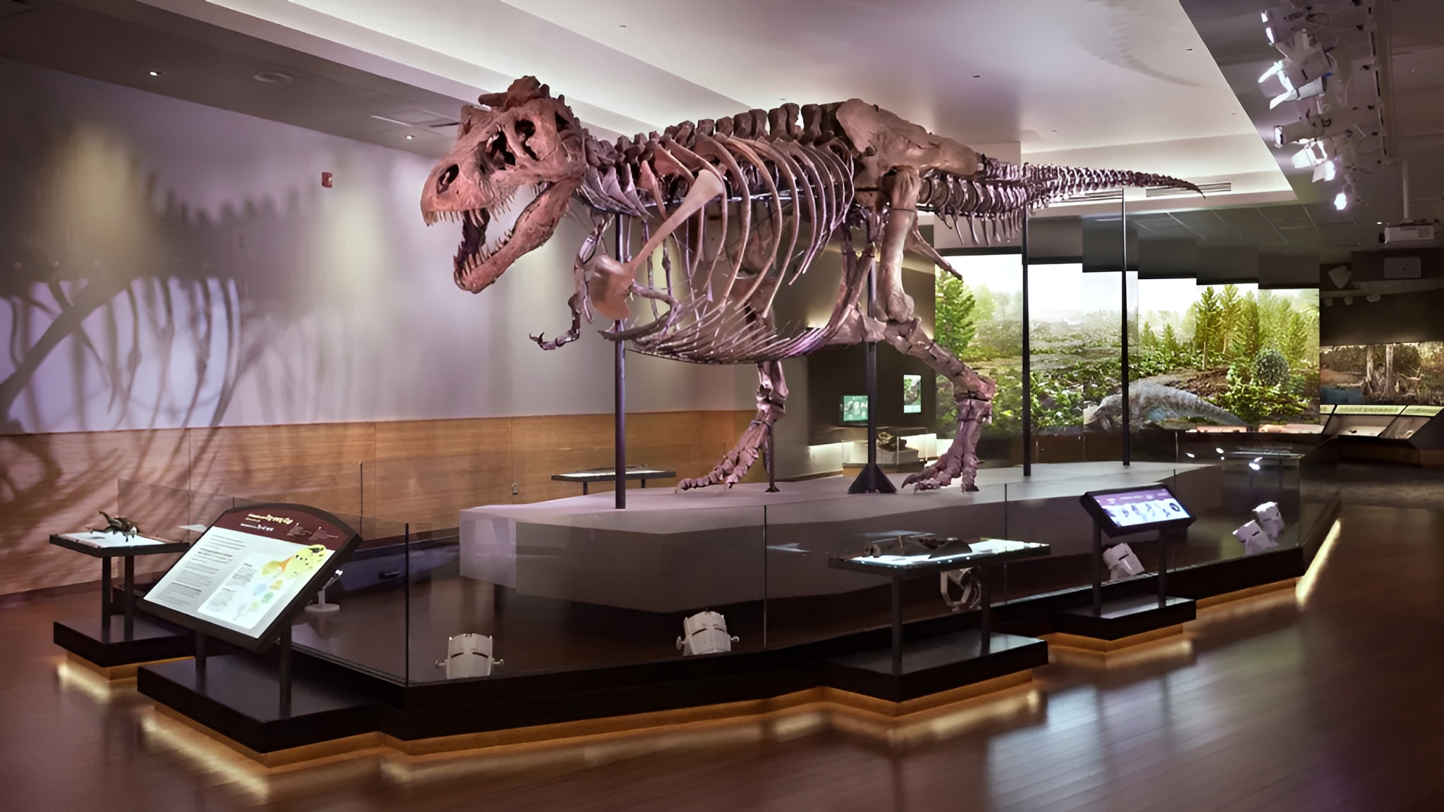 À quoi sentait l’haleine du T. rex ? Rencontre avec ceux qui ressuscitent les odeurs du passé