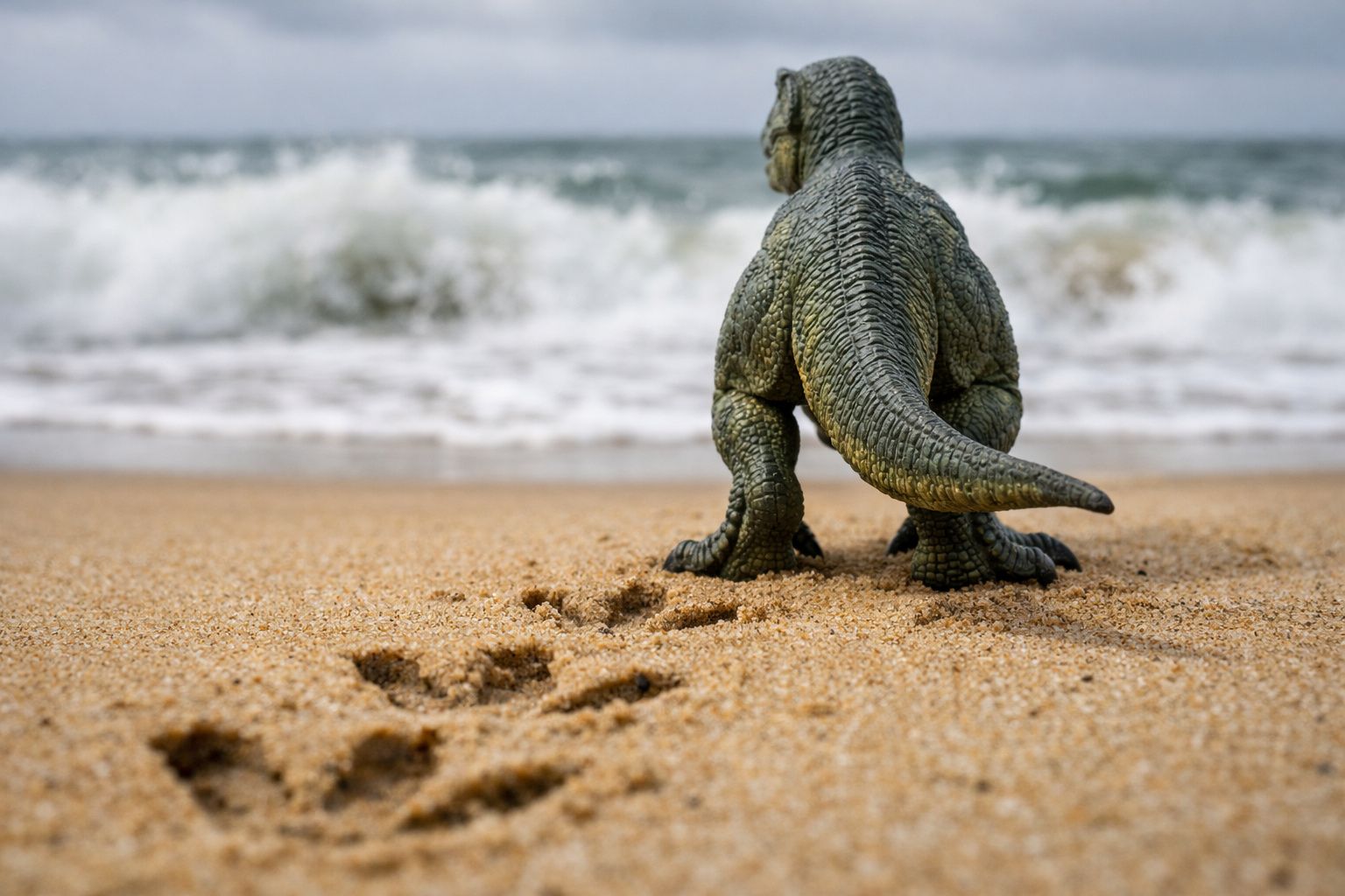 Une fillette de 10 ans part se promener sur la plage… et découvre 5 empreintes de dinosaures