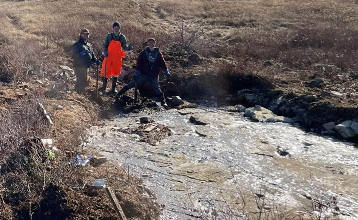 L’apocalypse oubliée : des scientifiques pensent que la première extinction massive de la Terre est restée sous nos yeux