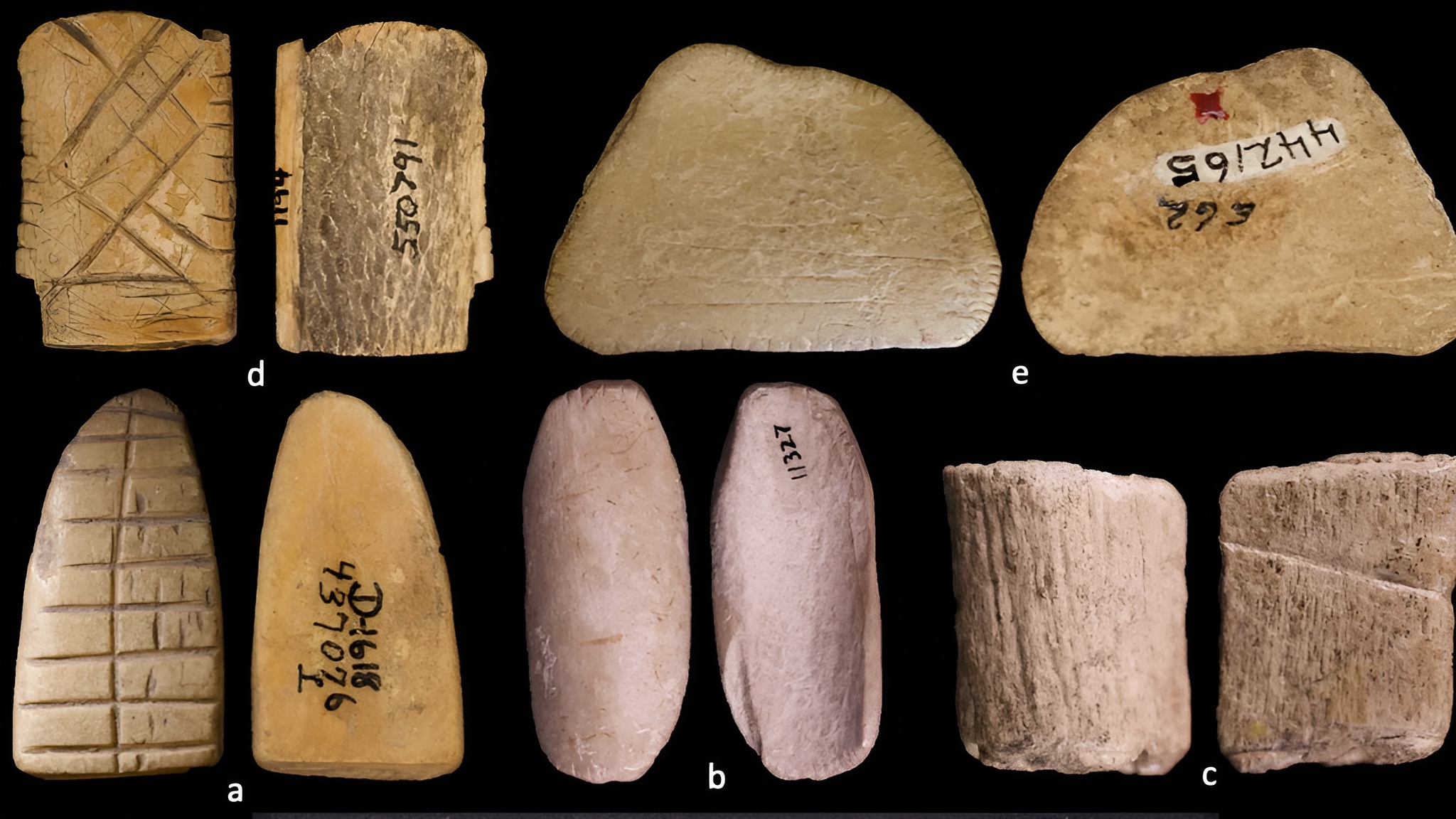 Une découverte de 12 000 ans bouleverse l'histoire des probabilités mathématiques