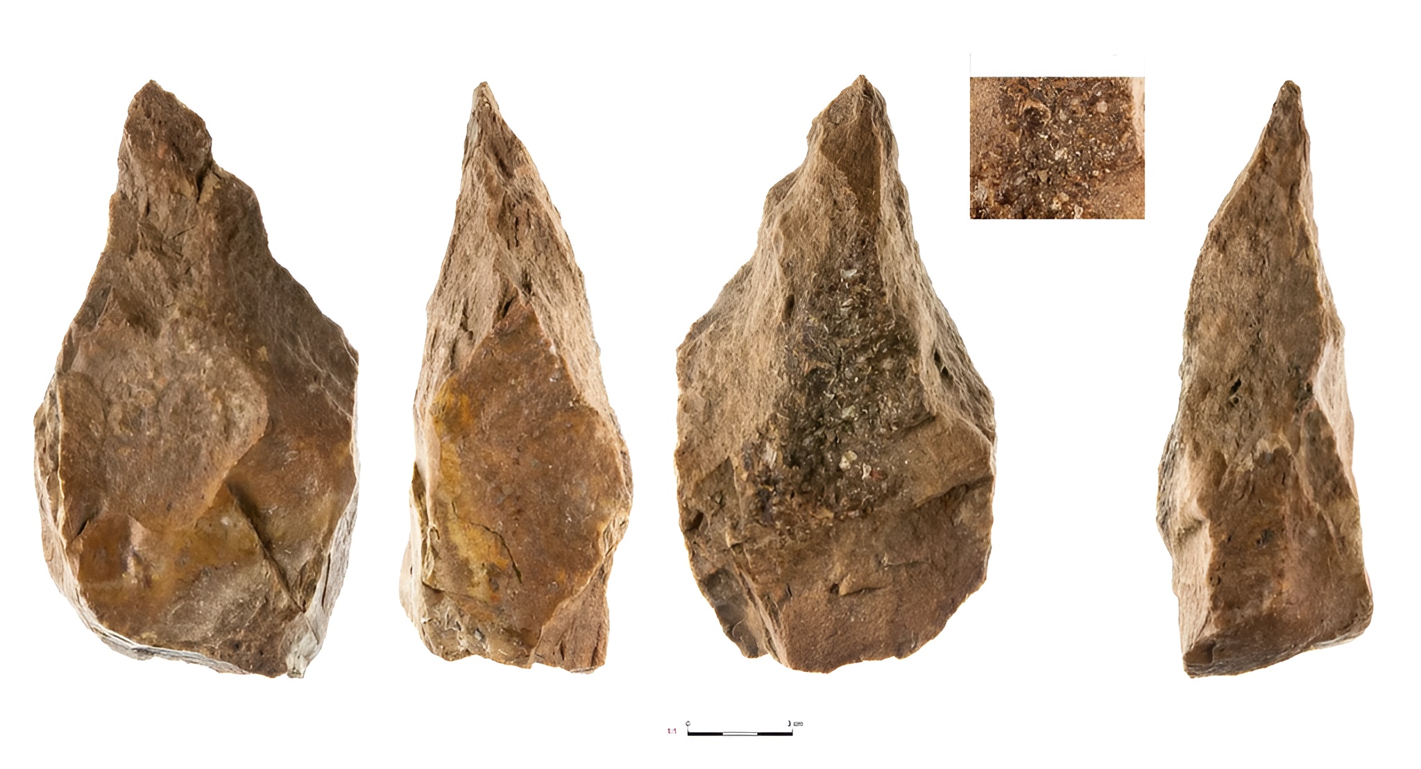 Homo erectus fabriquait des haches avec fossiles et cristaux comme “ponts entre l’humain et le cosmos”