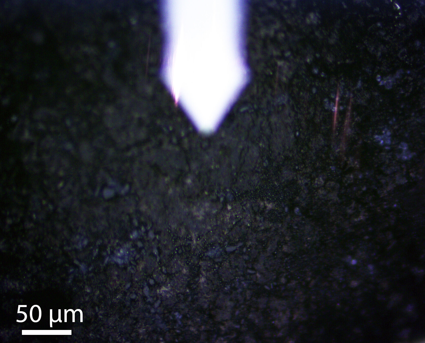 Un échantillon de l’astéroïde Bennu asteroid révèle comment l’eau y a circulé lors de sa formation