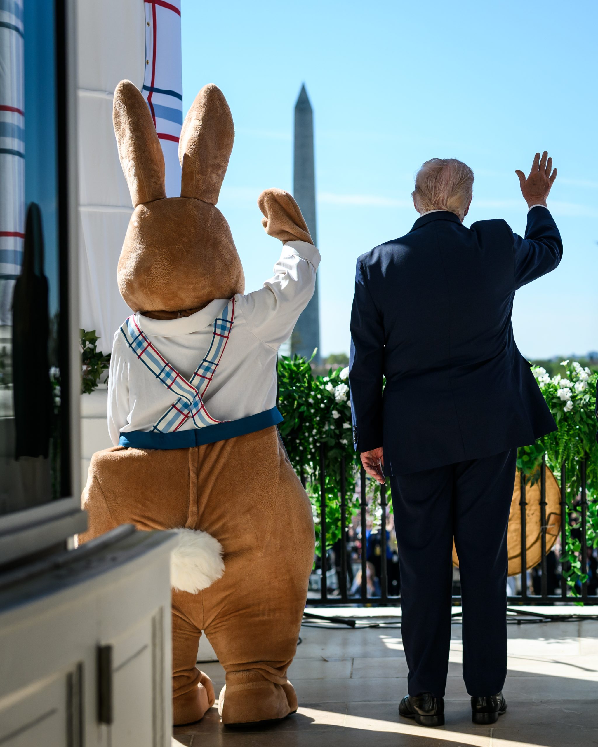 Icons. 🐰 - The White House (HFPzgaVaoAEPNX4).jpg