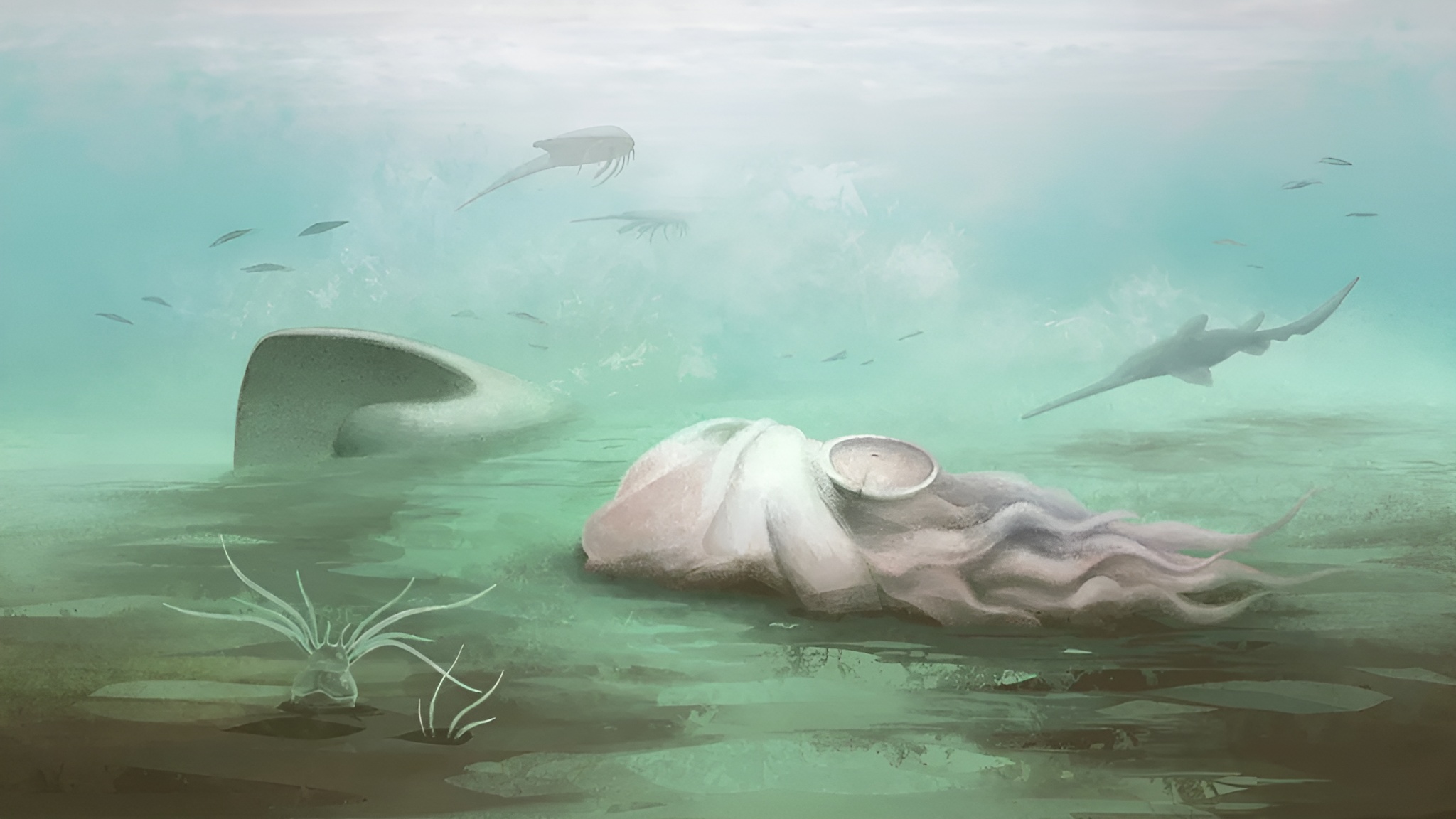 Ce fossile a révolutionné notre compréhension des pieuvres… mais ce n’en est finalement pas une