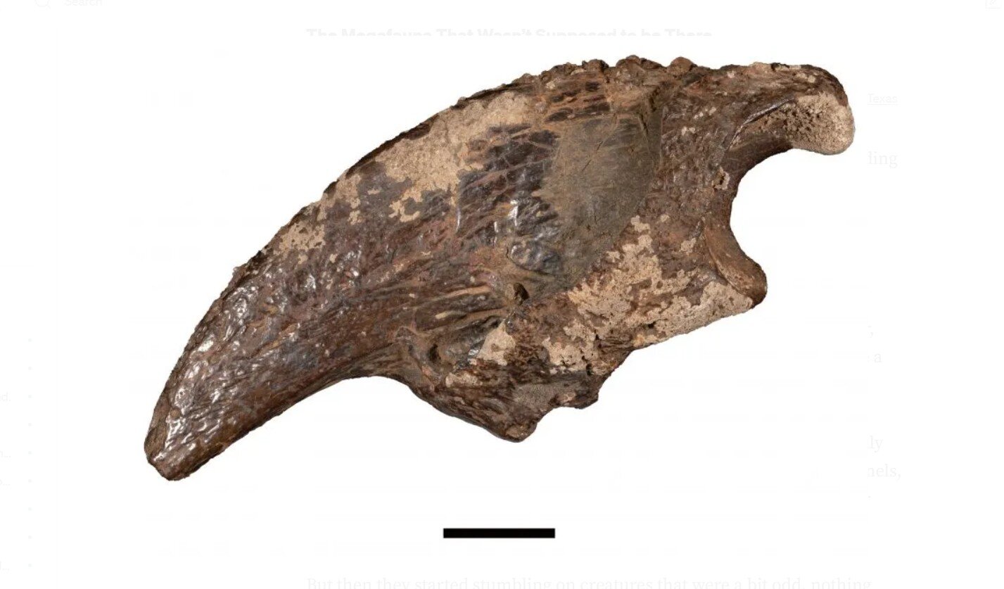Des géants de l’ère glaciaire découverts dans la grotte de Bender remettent en question les données climatiques du plateau d’Edwards