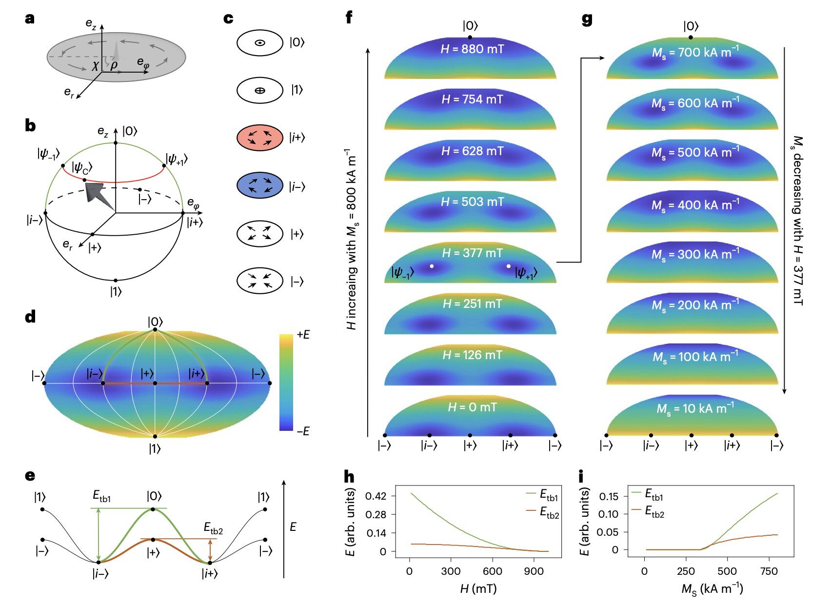 Des impulsions laser inversent des vortex magnétiques nanométriques à très haute vitesse, ouvrant la voie à une spintronique inspirée du cerveau