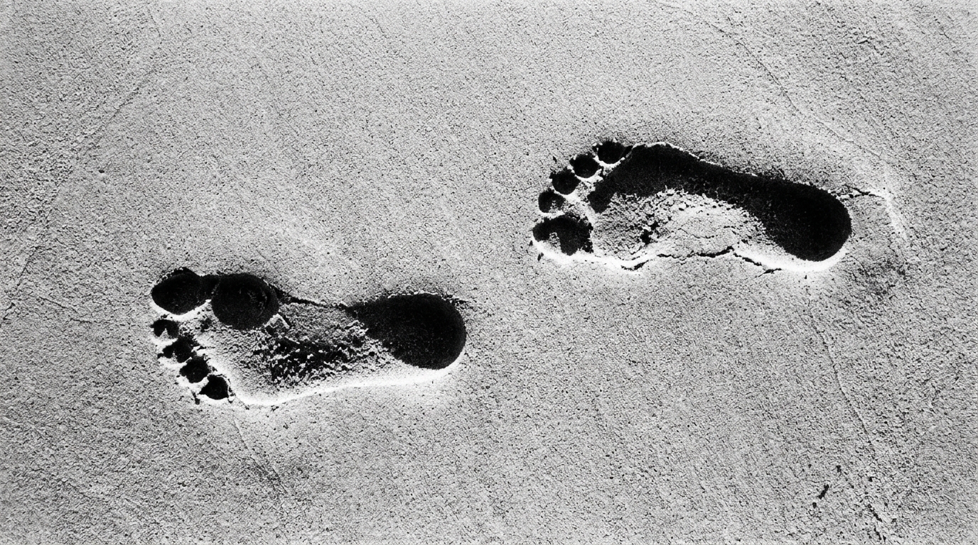 Des archéologues découvrent des empreintes humaines vieilles de 115 000 ans là où elles ne devraient pas être