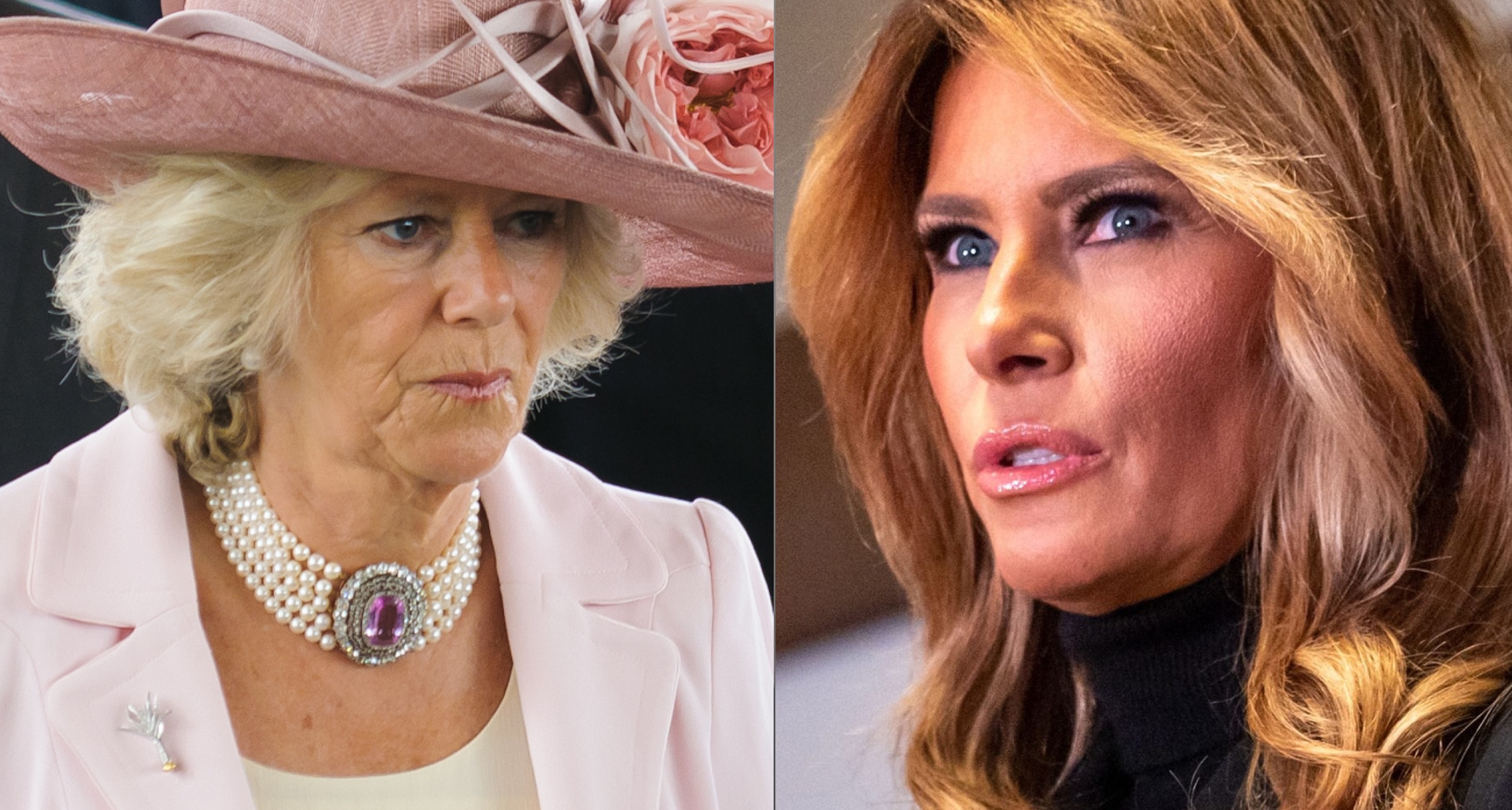 Une phrase très anglaise de Camilla qui a laissé Melania Trump perplexe, selon un lecteur labial