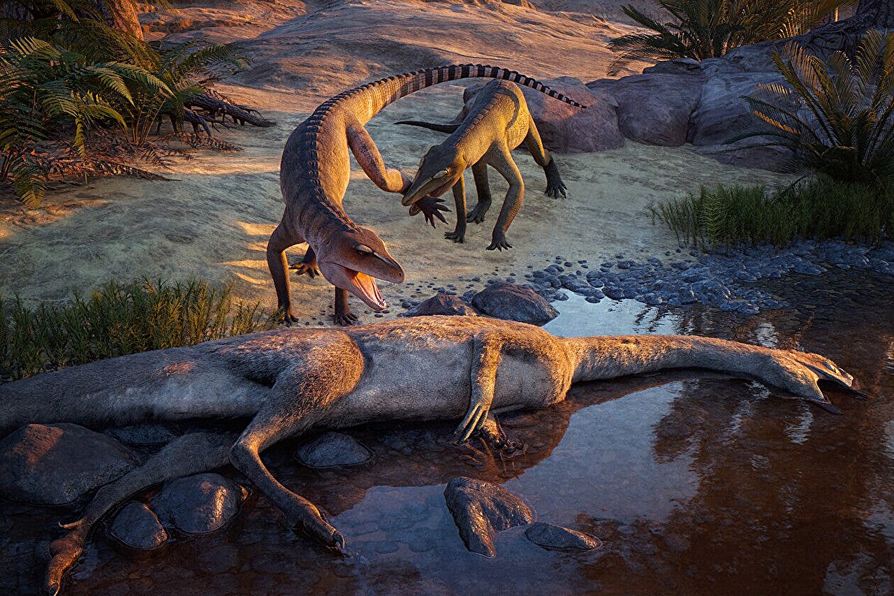 Enfermé dans la pierre depuis 210 millions d’années, ce cousin de crocodile nouvellement identifié était conçu pour écraser de grandes proies