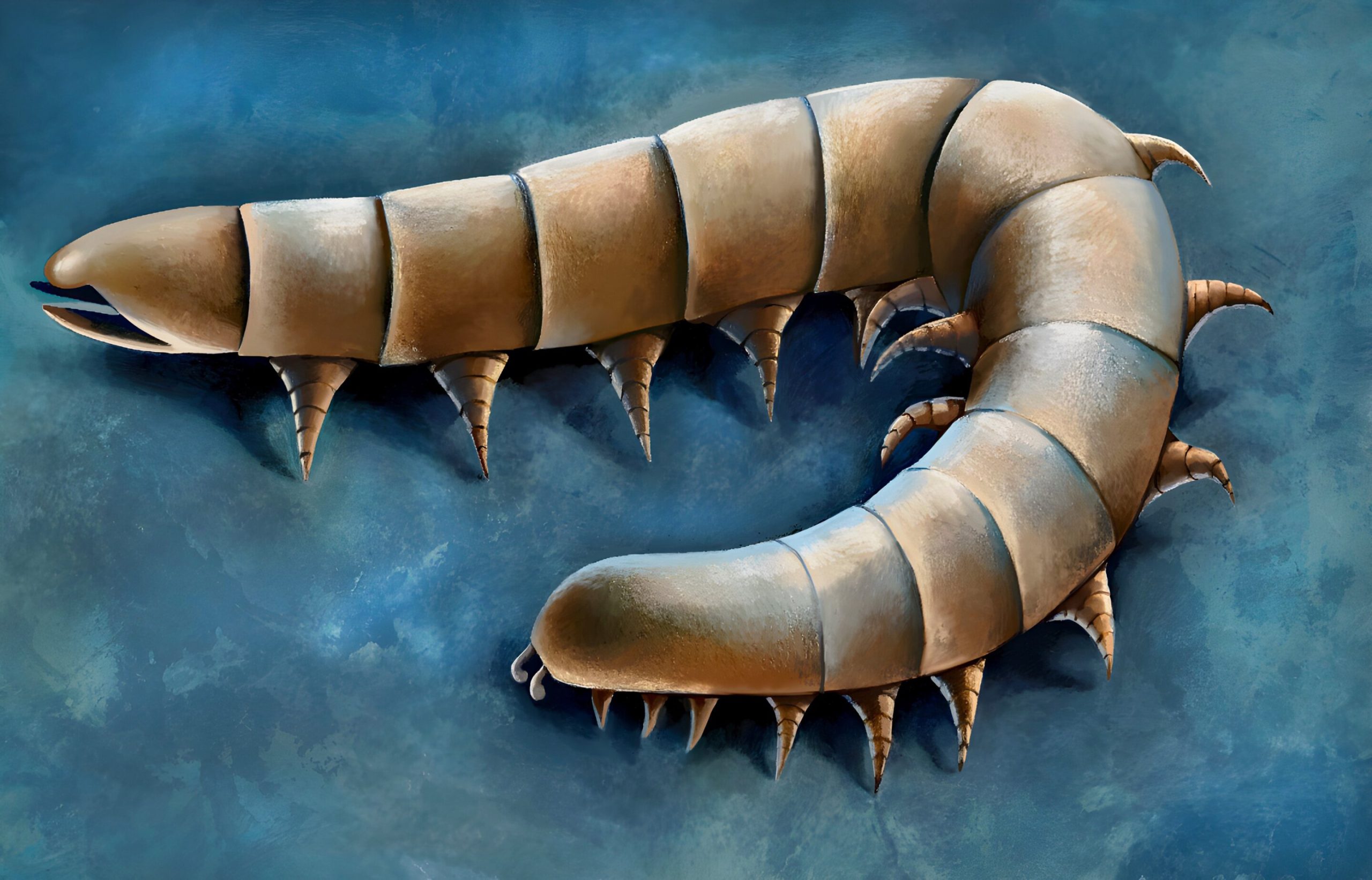 Des fossiles marins anciens révèlent que les ancêtres des mille-pattes ont développé leurs pattes sous l’eau