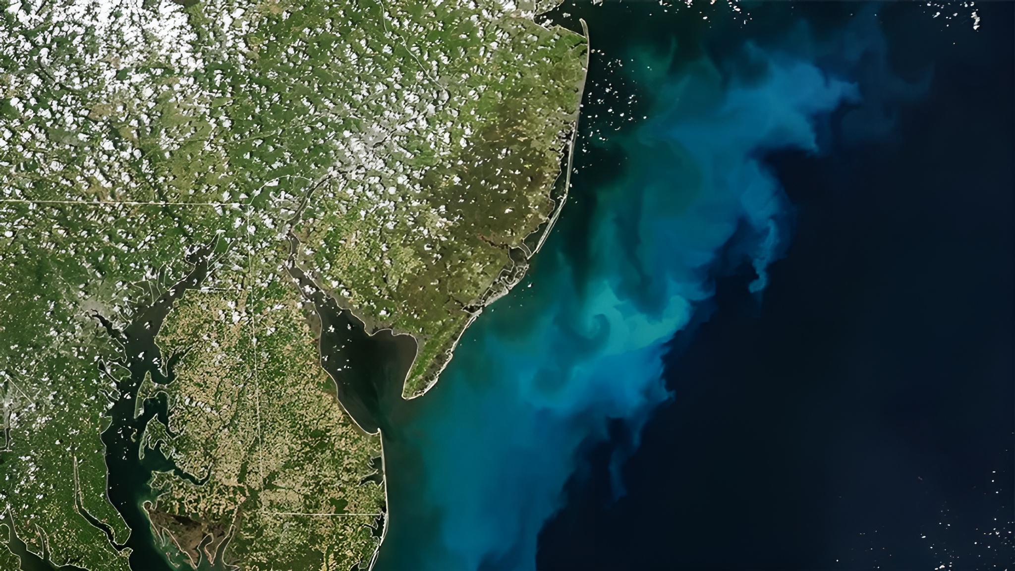 Des satellites de la NASA ont capturé une immense floraison bleu-vert fantomatique au large de la côte est des États-Unis