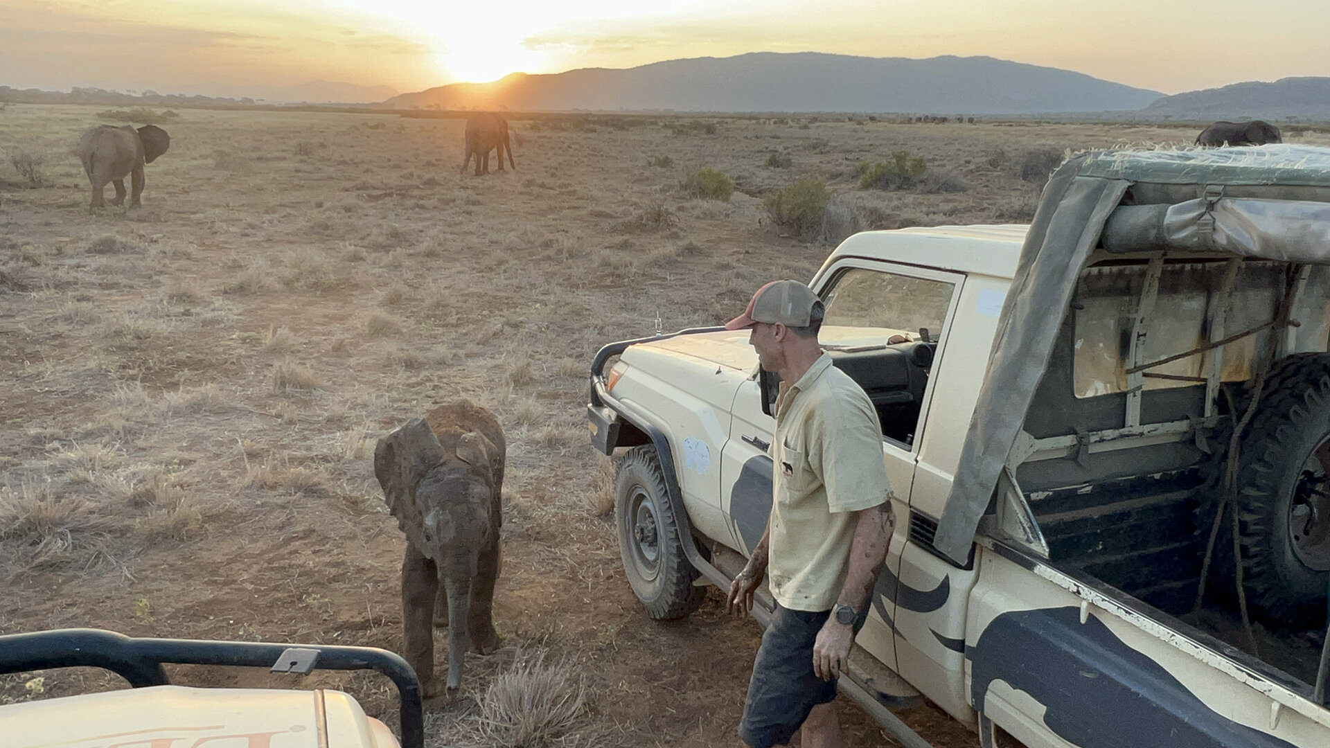 Un éléphanteau perdu retrouve sa famille après que des chercheurs ont suivi le troupeau à travers la réserve de Samburu National Reserve