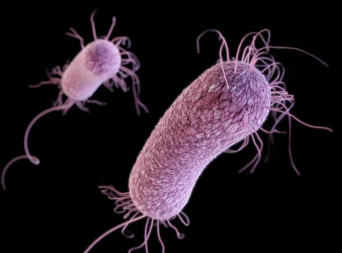 Des microbes gelés venus d’un passé lointain menacent de se réveiller et d’infecter humains, plantes et animaux