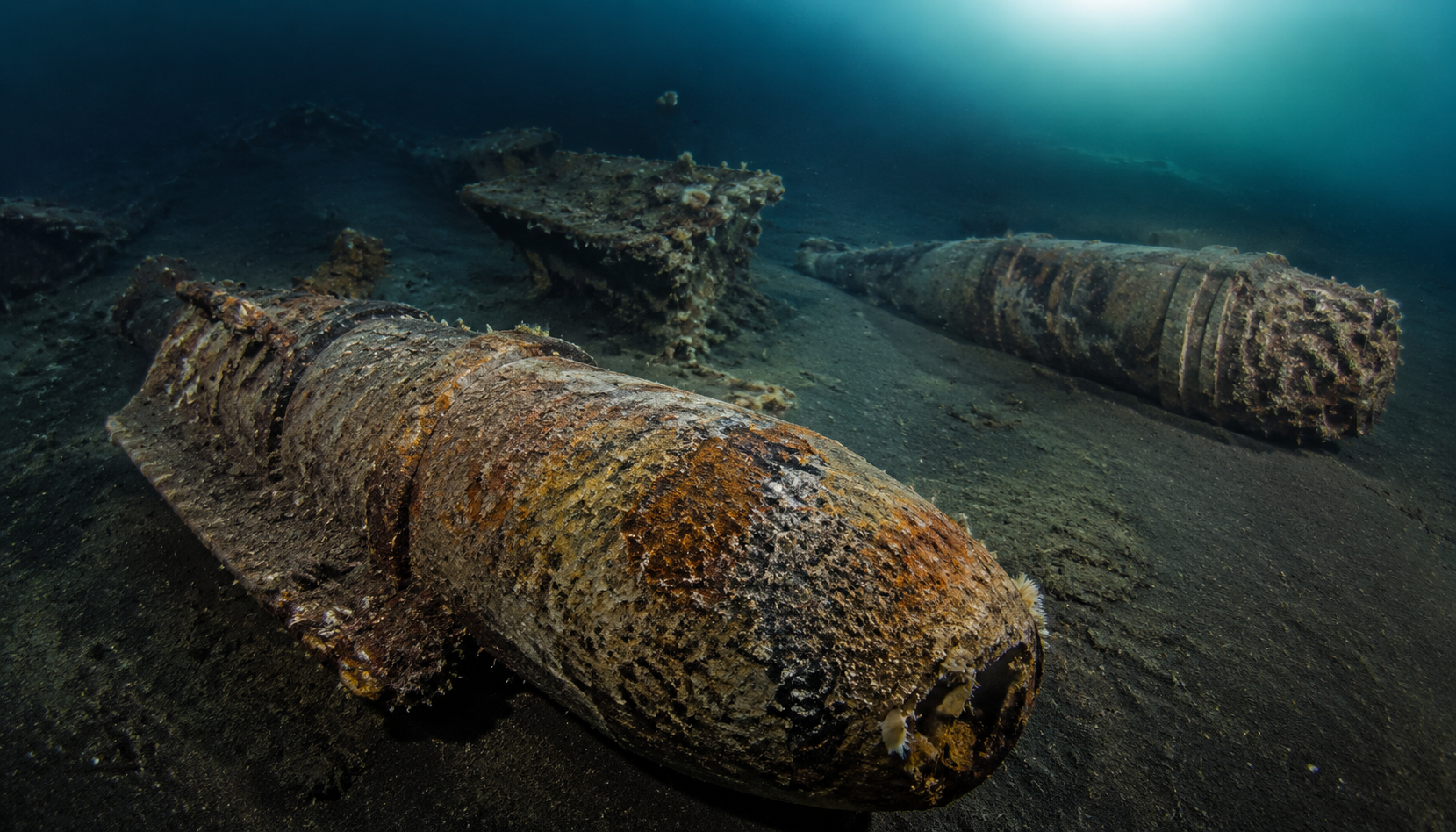 Une mer remplie de bombes de la Seconde Guerre mondiale cache un danger encore plus inquiétant dans les poissons