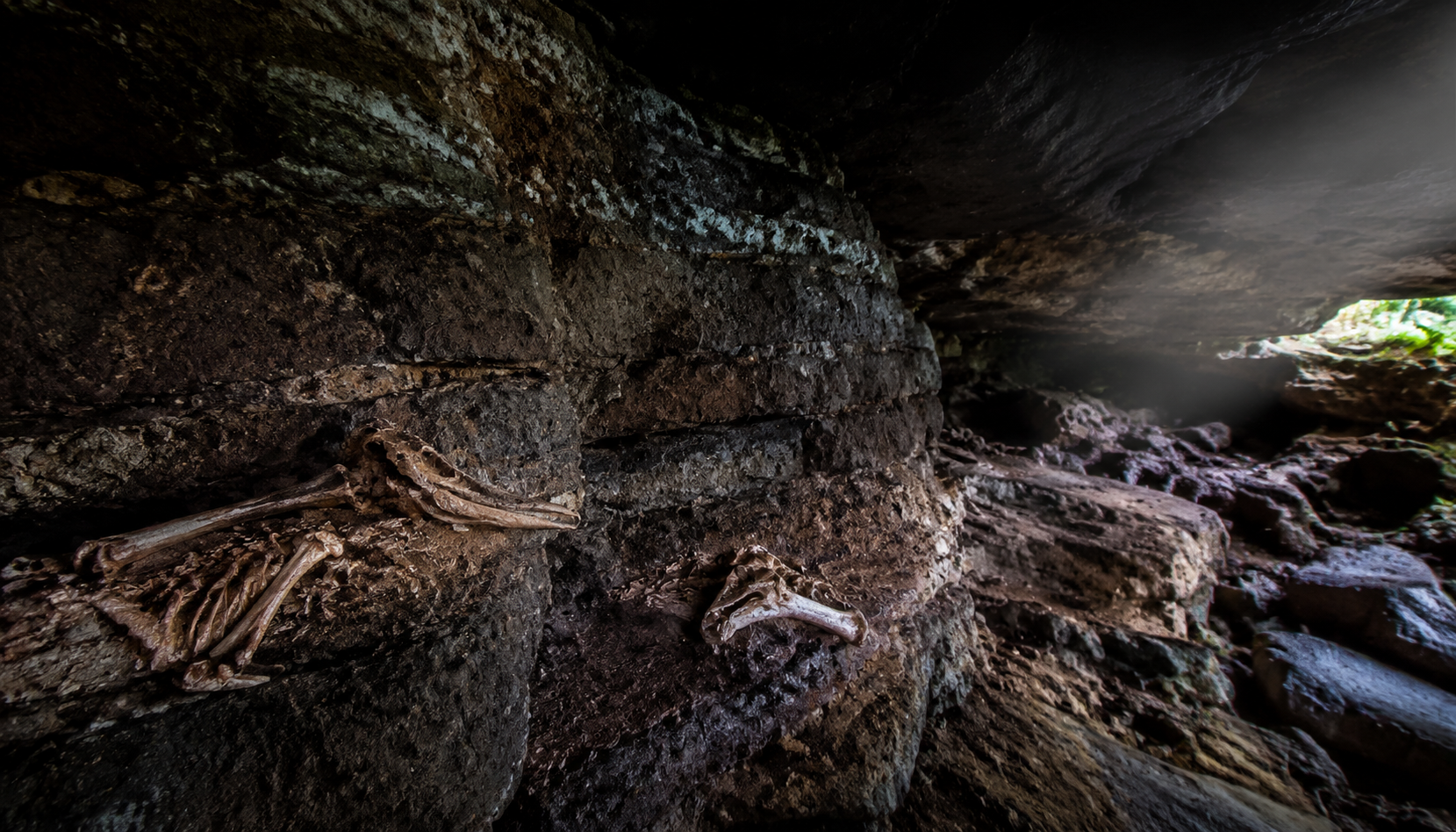 Des scientifiques découvrent dans une grotte insulaire les vestiges d’un monde perdu vieux d’un million d’années