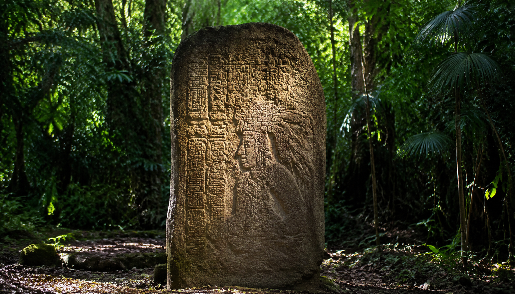 Découverte archéologique : une ancienne stèle mexicaine redéfinit l'histoire du calendrier maya