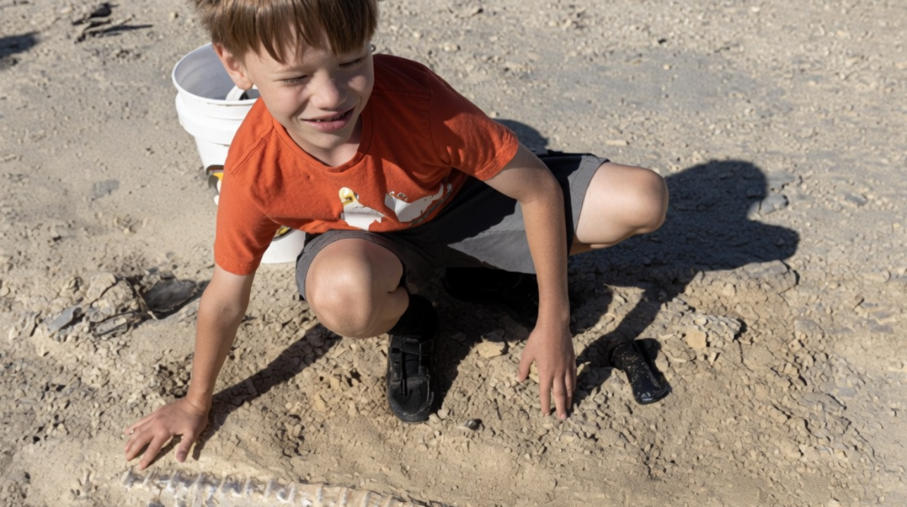 Un garçon de 12 ans découvre par hasard le fossile d’un monstre marin vieux de 80 millions d’années