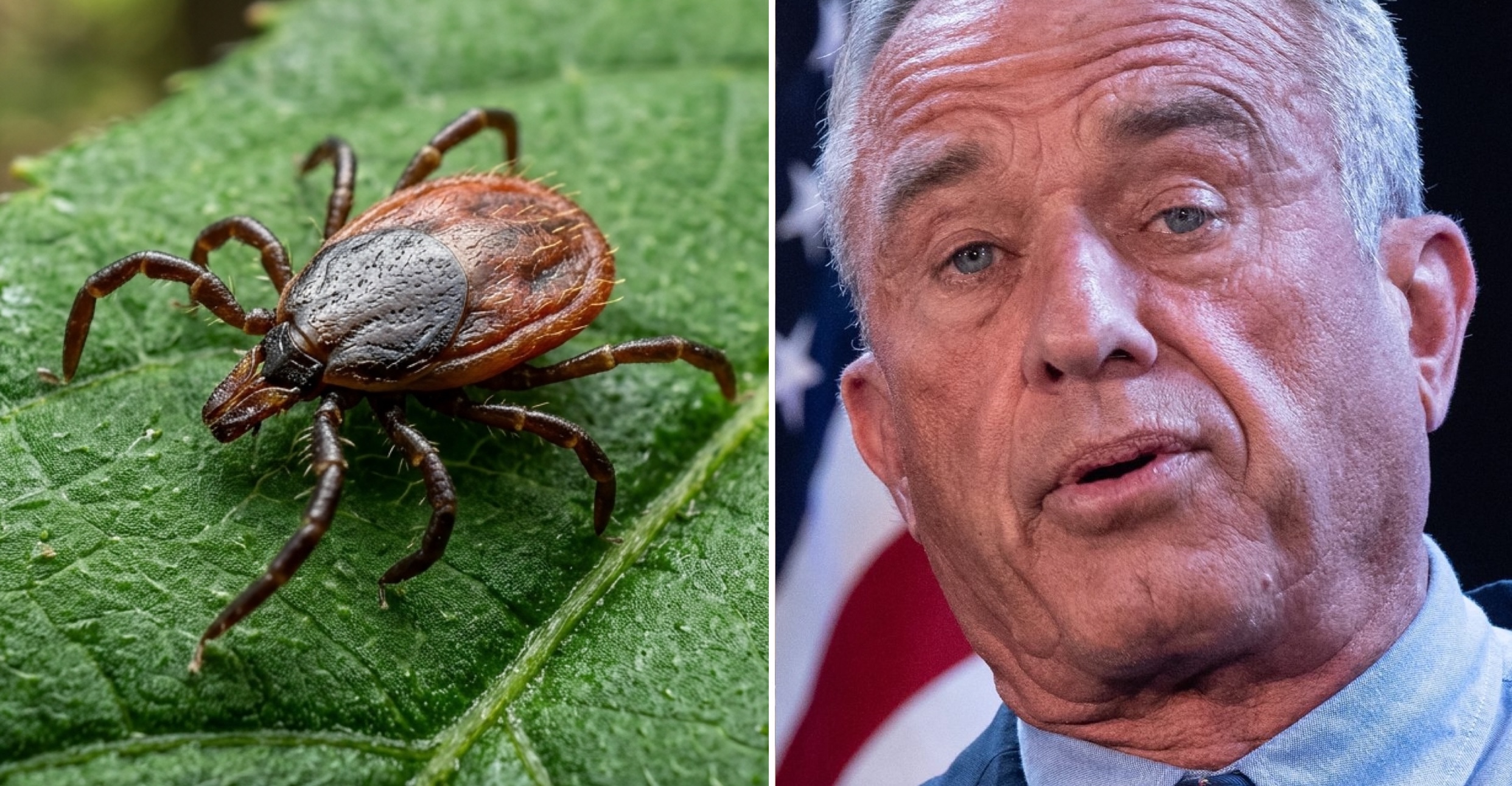 Le nouveau plan de RFK Jr. sur la maladie de Lyme s’apparente davantage à une théorie du complot qu’à de la science